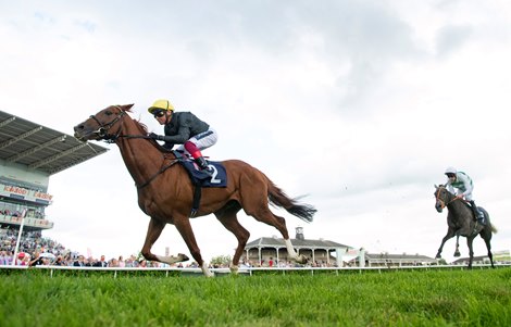 Stradivarius and Frankie Dettori win the Doncaster Cup<br><br />
Doncaster 10.9.21 Pic: Edward Whitaker