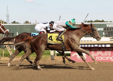Magic Michael (4) ridden by Frankie Pennington won the $200,000 Grade III Greenwood Cup at Parx Racing in Bensalem, Pennsylvania on September 25, 2021. Last Samurai (9) finished second. Photo By Barbara Weidl/EQUI-PHOTO