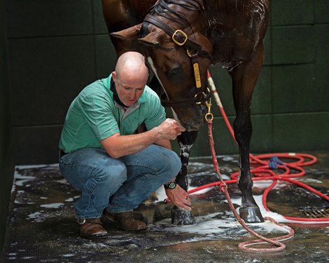 A native of Oklahoma, Heath started working at WinStar Farm on October 10, 2014, and became the farm trainer in October of 2018. Winning image in the 2021 AHP Media Awards in the Human-Animal Bond category.