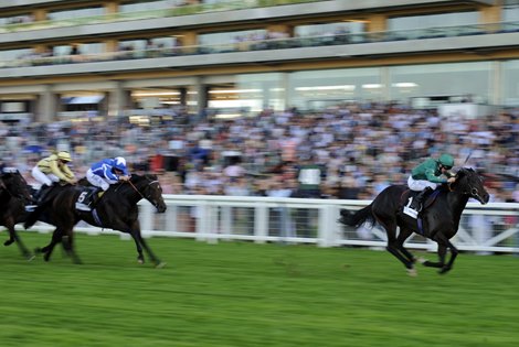 Ascot 27.9.09 Pic:Edward Whitaker<br><br />
Sayif (Richard Hills) wins the Diadem and in the process giving the jockey a three timer