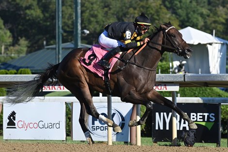 Baby Yoda - ALW, Saratoga, September 4, 2021