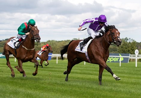 St Mark’s Basilica ridden by Ryan Moore wins the Irish Champion Stakes (Group 1). Leopardstown Racecourse.11.09.2021