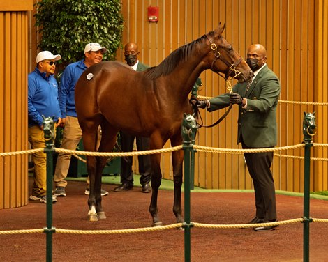 Hip 3182 filly by Bolt d’Oro out of Julie’s Jewelry at Paramount, with Audin Gomez back left in sunglasses<br>
Keeneland September yearling sales on Sept. 23, 2021. 