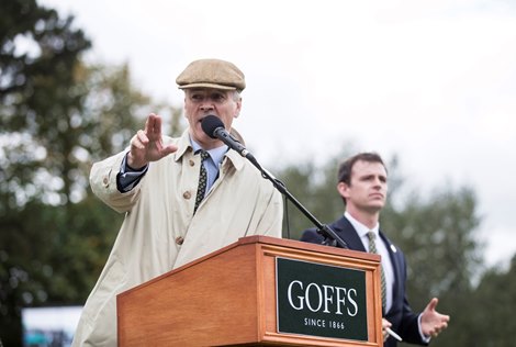 Henry Beeby.<br><br />
Goffs Champions sale.<br><br />
Leopardstown.<br><br />
Photo: Patrick McCann 09.09.2017