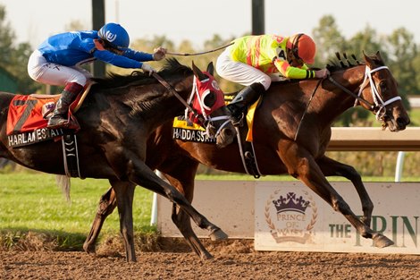 Jockey Gary Boulanger leads Haddassah to victory in the second leg of the Canadian Triple Crown, the $400,000 Prince of Wales Stakes.  Owned by Al & Bill Ulwelling and trained by Kevin Attard.