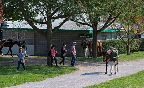 Keeneland September yearling sales on Sept. 10, 2021. 