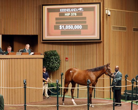 Hip 376, 2021 Keeneland September Yearling Sale