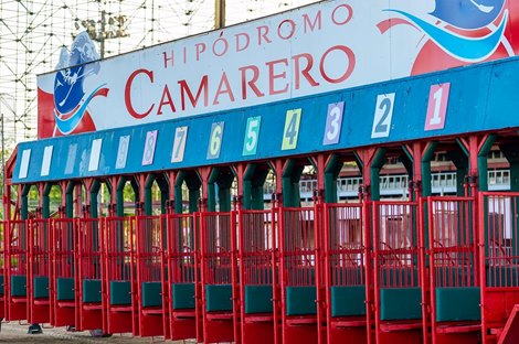 Hipódromo Camarero Starting Gate