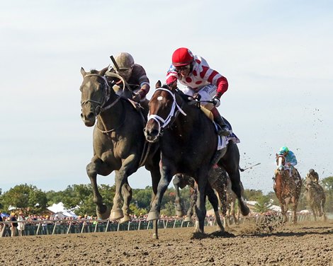 Mind Control with John Velazquez win the Parx Dirt Mile at Parx on September 25, 2021. Photo By: Chad B. Harmon