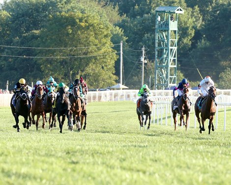 Kentucky Downs' Turf Cup Boosted to $1.7M for KY-Breds - BloodHorse