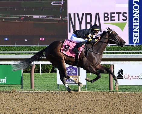 Baby Yoda - ALW, Saratoga, September 4, 2021