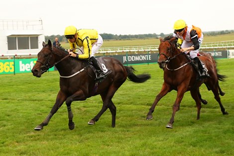 PERFECT POWER ridden by Cristophe Soumillon beating Castle Star (right) in The Juddmonte Middle Park Stakes (Group1) at Newmarket 25/9/2021 Photo Ian Headington / Racingfotos.com - THIS IMAGE IS SOURCED FROM AND MUST BE BYLINED &quot;RACINGFOTOS.COM&quot;