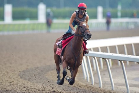 Toronto On.September 13, 2021.Woodbine Racetrack.Ricoh Woodbine Mile contender March to the Arch breezes under exercise rider Casie Garcia for trainer Mark Casse and owner Live Oak Plantation