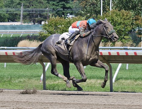 Affable Monarch #2 with Tomas Mejia riding won the 4th race for Two-Year_Old Maidens at Monmouth Park Racetrack in Oceanport, NJ on Monday September 6, 2021.  Photo By Bill Denver/EQUI-PHOTO