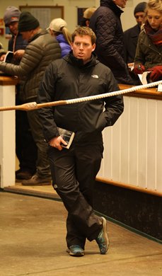  <br><br />
Tattersalls December Sale Mares etc <br><br />
30/11/16
