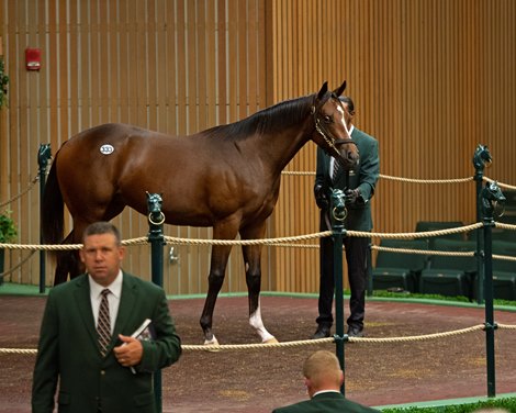 Hip 333 colt by Curlin out of Dashing Debby at Gainesway<br><br />
Keeneland September yearling sales on Sept. 14, 2021. 