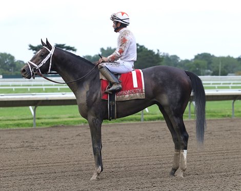 Double Thunder #1 with Paco Lopez riding won the $200,000 Sapling at Monmouth Park Racetrack in Oceanport, NJ on Sunday September 5, 2021.  Second was American Sanctuary #7 with Sophie Doyle riding.  Photo By Bill Denver/EQUI-PHOTO