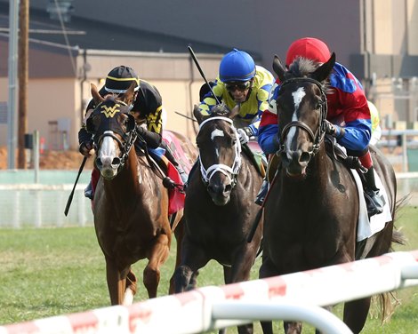 Koala Princess wins 2021 Ainsworth Stakes at Kentucky Downs
