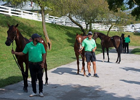 Machmer Hall showing scene<br>
Keeneland September yearling sales on Sept. 16, 2021. 