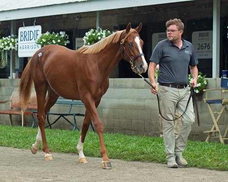 Hip 2698 Punctuality, colt by Union Rags out of Etiquette at Bridie Harrison, agent for Peter Blum Thoroughbreds<br>
Keeneland September yearling sales on Sept. 20, 2021. 