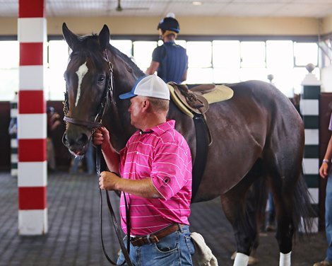 Assistant trainer Scott Blasi schools Midnight Bourbon in the paddock as preparation for the $1 million Pennsylvania Derby (GI) at Parx Racing in Bensalem, PA. 