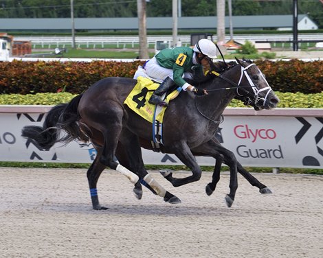 Eldon's Prince wins the 2021 Armed Forces Stakes at Gulfstream Park