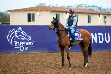 One Timer works out at Del Mar on October 31, 2021.