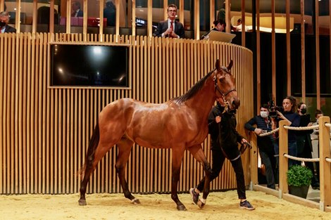Lot 209 - m. CAMELOT x BOARD MEETING