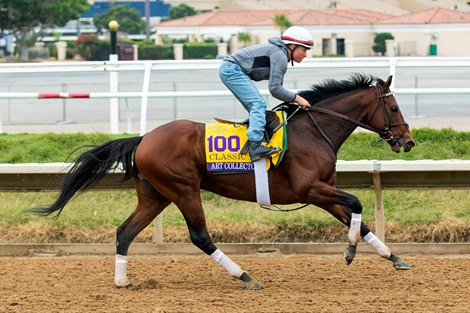 Art Collector works out at Del Mar on October 31, 2021.
