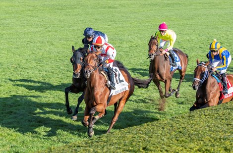 Shantisara with Flavian Prat wins the Queen Elizabeth II Challenge Cup (G1T) at Keeneland in Lexington, Ky. on Oct.16, 2021.