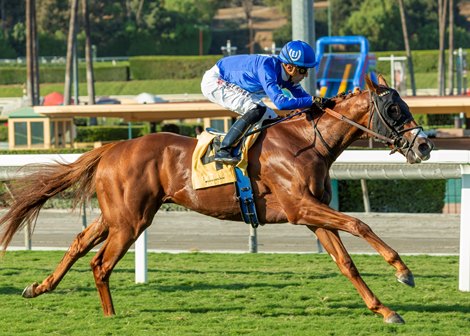 Mackinnon and jockey Juan Hernandez win the $200,000 Zuma Beach Stakes, Sunday, October 3, 2021 at Santa Anita Park, Arcadia CA.<br><br />
&#169; BENOIT PHOTO