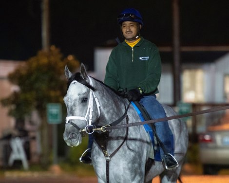 Essential Quality<br><br />
Horses and horsemen at Churchill on Oct. 30, 2021. 