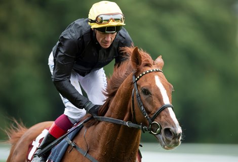 Stradivarius and Frankie Dettori after the Prix du Cadran<br><br />
Longchamp 2.10.21