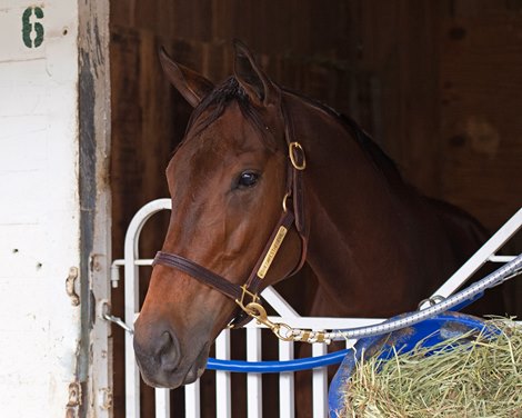 Shedaresthedevil<br><br />
Horses and horsemen at Churchill on Oct. 30, 2021. 