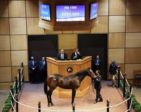 Hip 1580,  2021 Fasig-Tipton October Sale