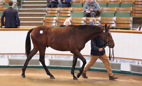 Lot 383 Galileo (IRE) / Anthem Alexander (IRE) B.C. (IRE)     Mountarmstrong Stud, Ireland    M V Magnier    1,100,000   <br><br />
Tattersalls October Yearling Sale Book 1<br><br />
07/10/21
