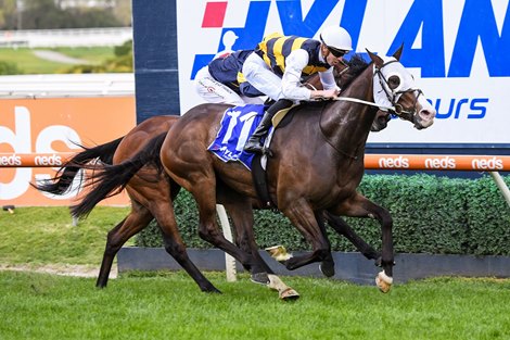 I&#39;m Thunderstruck (NZ) ridden by Jye McNeil wins the Hyland Race Colours Toorak Handicap at Caulfield Racecourse on October 09, 2021 in Caulfield, Australia
