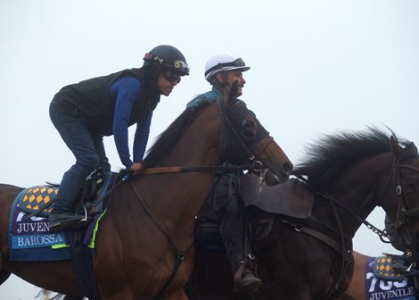 Barossa heading out to work at Santa Anita Park on October 30, 2021