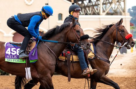 Mo Forza works out at Del Mar on October 31, 2021.