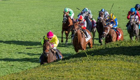 Shantisara with Flavian Prat wins the Queen Elizabeth II Challenge Cup (G1T) at Keeneland in Lexington, Ky. on Oct.16, 2021.