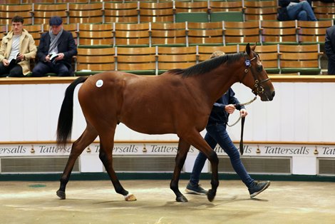 Lot 321 Kingman (GB) / Turret Rocks (IRE) B.C. (IRE)      Corduff Stud, Ireland    M V Magnier &amp; White Birch    1,100,000  <br><br />
Tattersalls October Yearling Sale Book 1 06/10/21