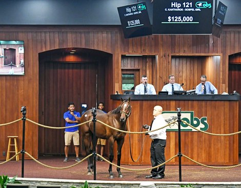 2021 OBS October Yearling Sale, Hip 121