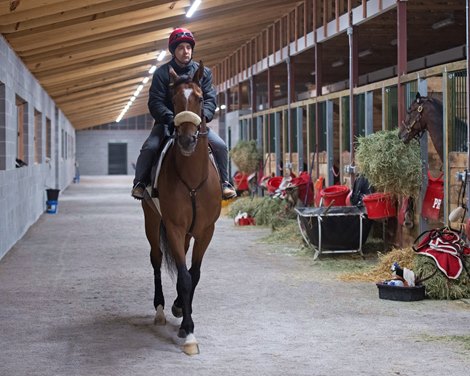 In Love<br>
Bonne Chance Farm and Paulo Lobo and the three Breeders’ Cup horses Ivar, Imperador, and In Love at the Thoroughbred Training Center on Oct. 27, 2021. 
