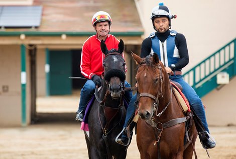 Cairo Memories works out at Del Mar on October 31, 2021.