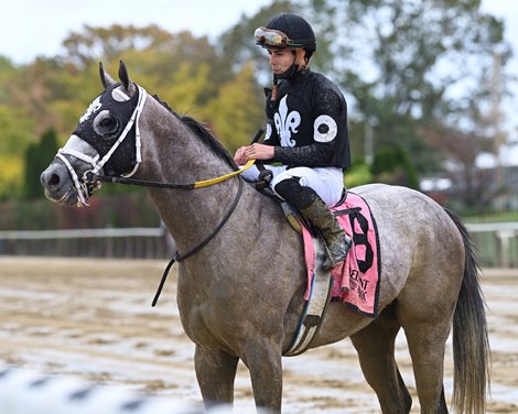 Ny Traffic wins the 2021 Hudson Handicap at Belmont Park