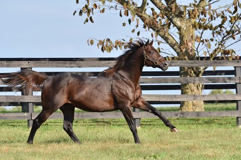 Congrats, WinStar Farm