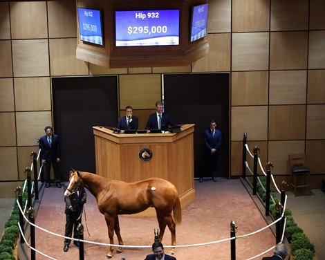 Hip 932, 2021 Fasig-Tipton October Sale