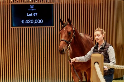 Lot 67 - m. SIYOUNI x MODERN EAGLE