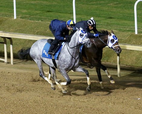 Essential Quality - Work - Churchill Downs - 103121