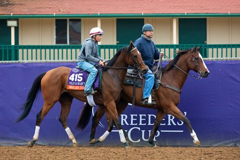 War Like Goddess works out at Del Mar on October 31, 2021.